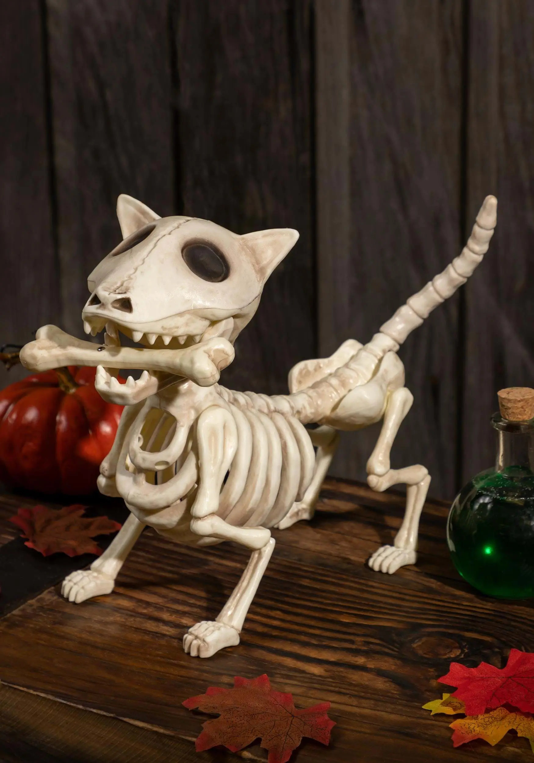 10.5 Inch Digger The Dog Skeleton Prop 1 10.5 Inch Digger The Dog Skeleton Prop