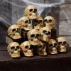 12 Pc. Bag Of Skulls