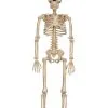 16 Inch Skeleton Decoration