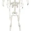 16" Winged Skeleton Decor