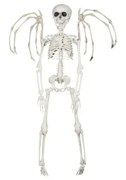 16" Winged Skeleton Decor