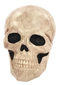 18.5 Inch Giant Skull Decoration