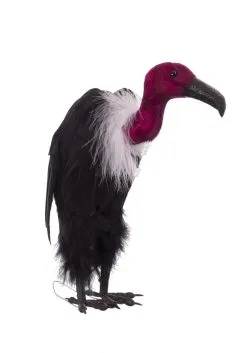 18 Inch Vulture Prop
