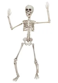 20" Poseable Skeleton