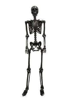 24" Gun Metal Skeleton