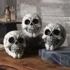 3-Pack Of Large Skulls Table Decoration