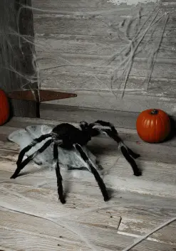 Giant Jumping 36" Spider