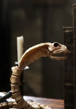 39'' Cobra Skeleton -halloween Shop 39 cobra skeleton 2