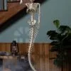 48 Inch Mermaid Skeleton Halloween Decoration