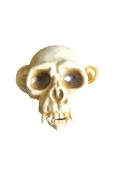 5 Inch Monkey Skull Decoration