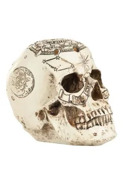 6 Inch Lighted Celestial Skulls Decoration -halloween Shop 6 lighted celestial skulls alt 2