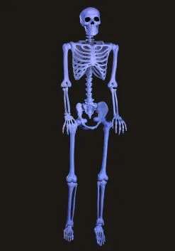 60" Blacklight Ghostly Skeleton