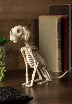 7 And A Half Inch Sitting Puppy Skeleton