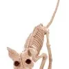 Kitty 7.5" Skeleton
