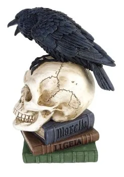 Poe's 8" Raven Skull Decoration -halloween Shop 8 poes raven skull decoration alt 3