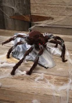 Brown Jumping Animated Spider 5 Brown Jumping Animated Spider -halloween Shop animated brown jumping spider 1