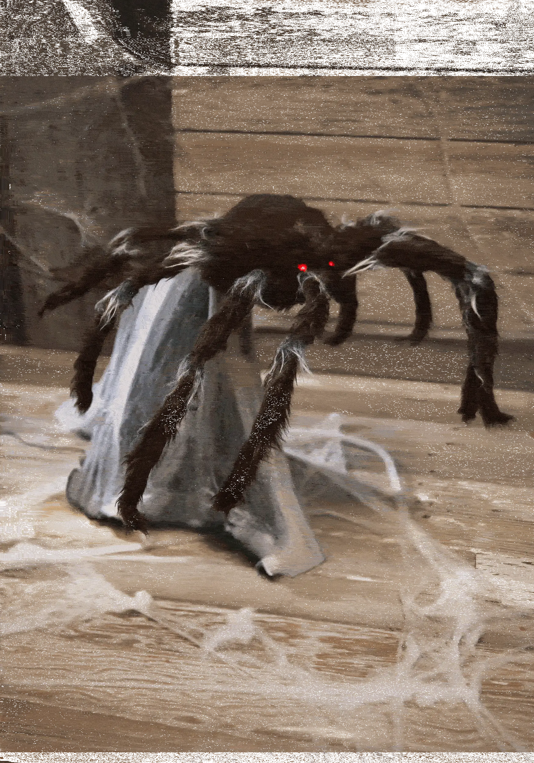 Brown Jumping Animated Spider 1 Brown Jumping Animated Spider