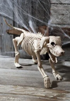 Beagle Bonez