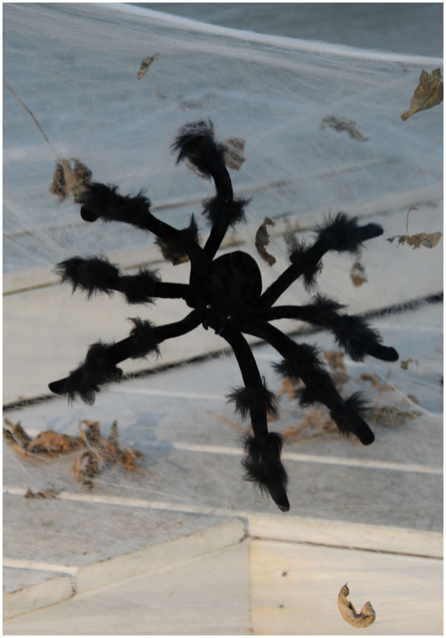 Black 20 Inch Poseable Spider 1 Black 20 Inch Poseable Spider