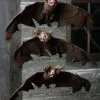 3 Pack Brown Bat