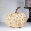 Cornpeel Pumpkin White