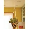 Hanging Gold Color Skull Planter