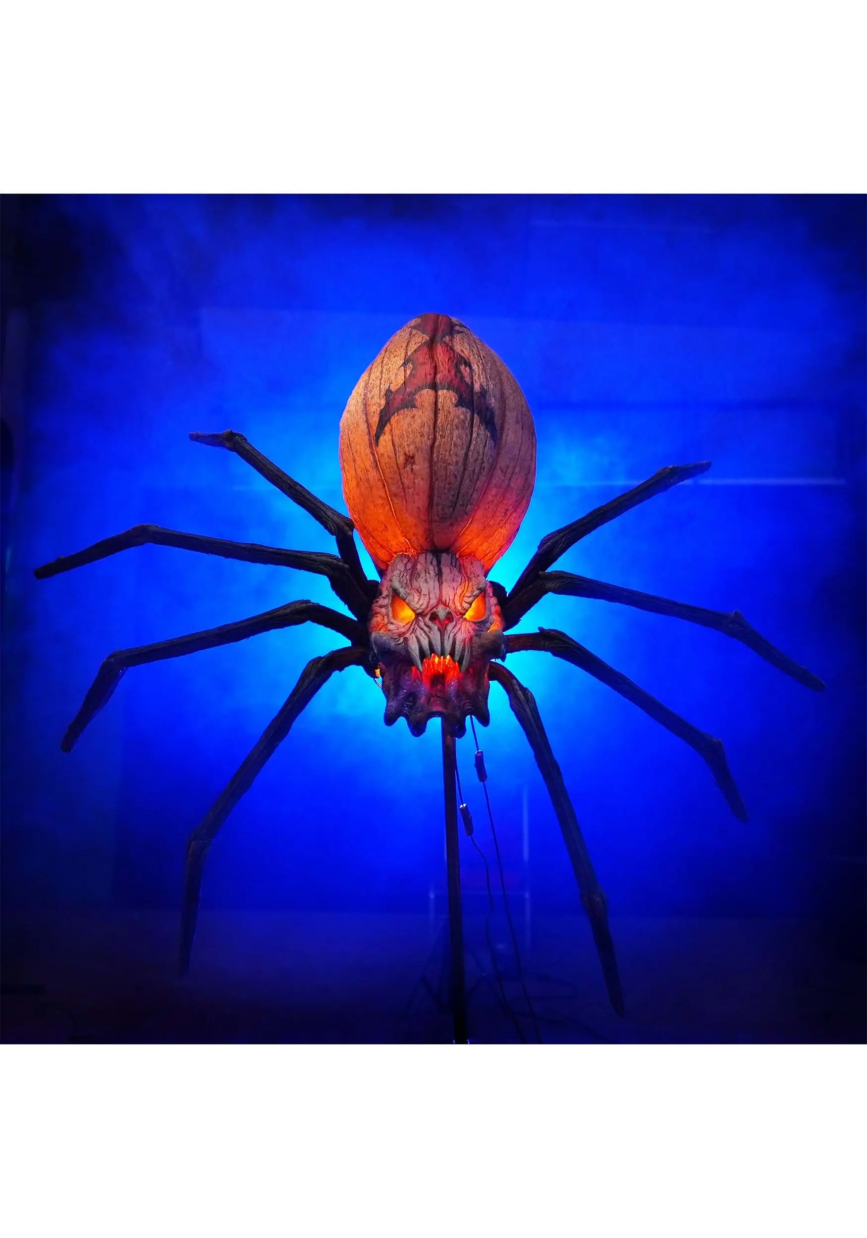 Jack Widow Prop 1 Jack Widow Prop