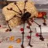 Large Hairy Brown Spider