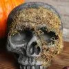 Moss Covered Skull Halloween Decoration