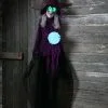 Light Up Animated 73 Inch Hanging Crystal Ball Witch Décor