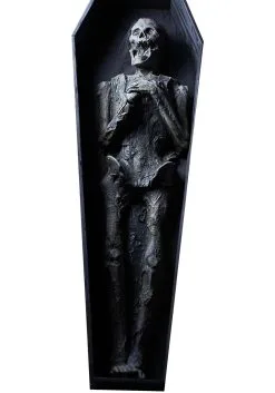 Skeleton In Coffin Halloween Prop