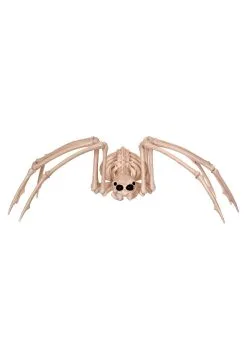 Skeleton Spider