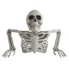 Skeleton Torso Groundbreaker Decoration