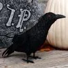 Standing Black Crow Halloween Prop