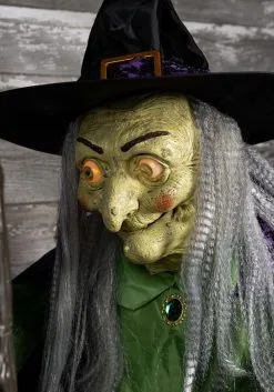 Animated Stirring Up Trouble Witch Decoration -halloween Shop stirring up trouble animated witch decoration alt 4